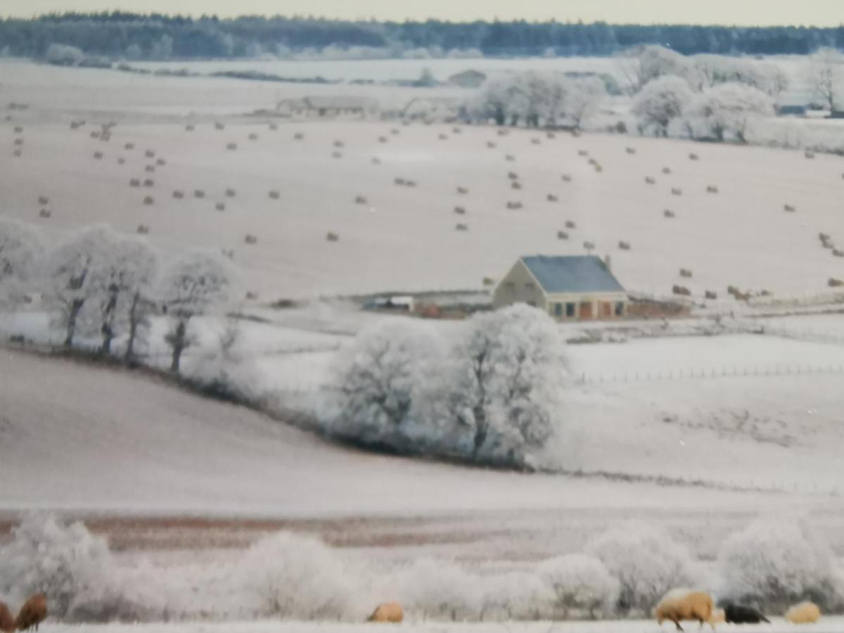Hillhaven Bed &Breakfast Bed & Breakfast Фортроуз Екстериор снимка